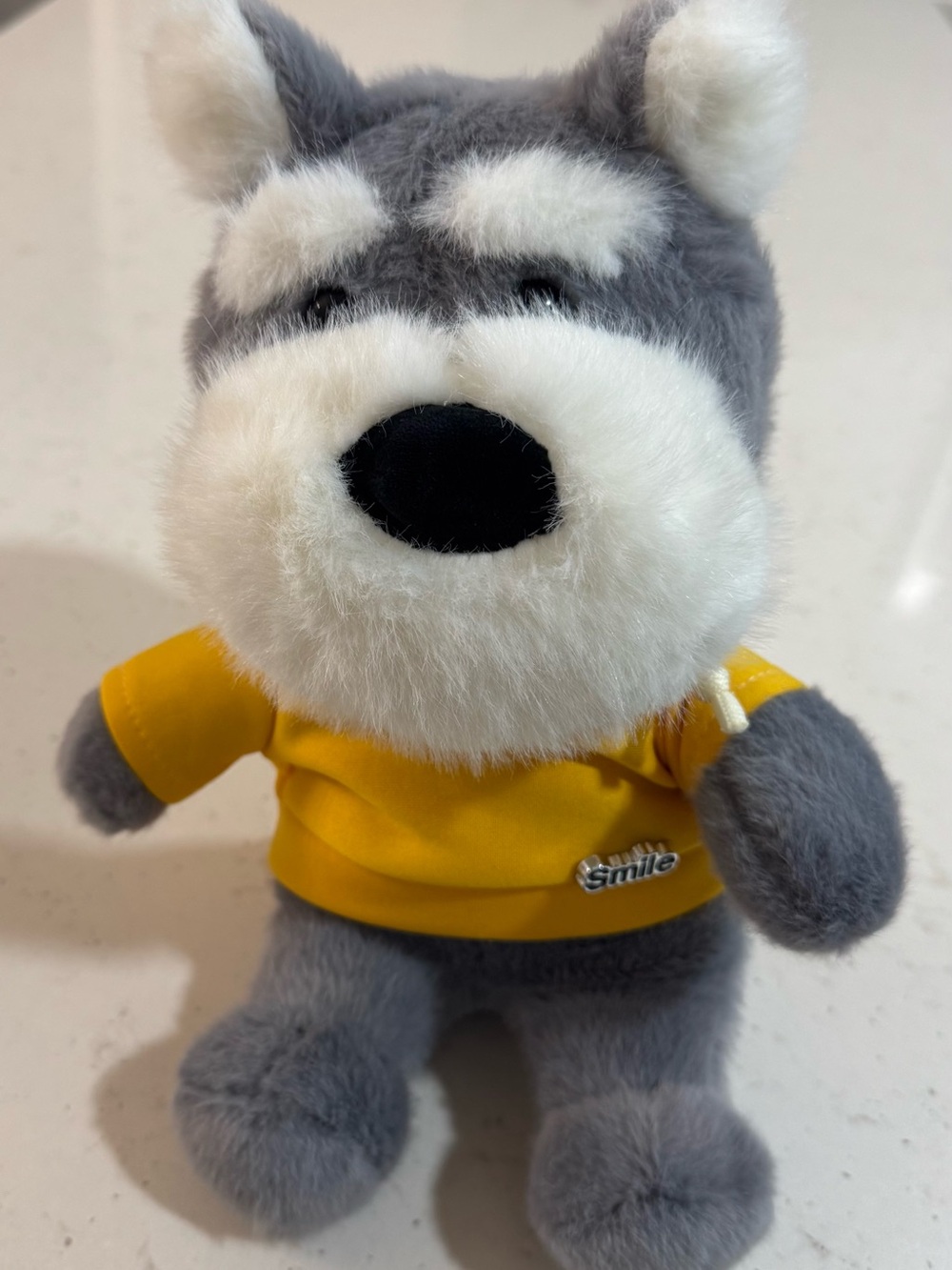 Schnauzer Small Plush Toy w/Hoodie Shirt 9.5”